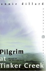 book pilgrim.jpg