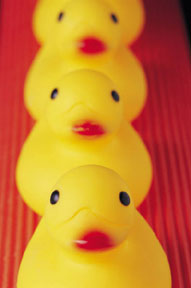 ducks-in-a-row-red.jpg