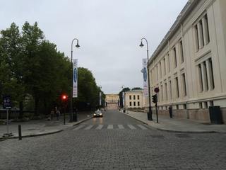 oslo_palace_early_morning.jpg